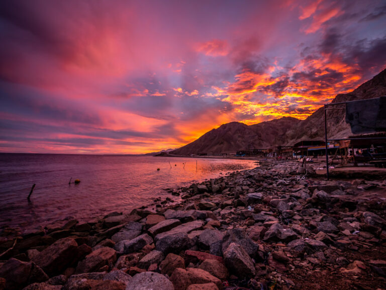 Camel diving to Ras Abu Gallum: light luggage, powerful experiences