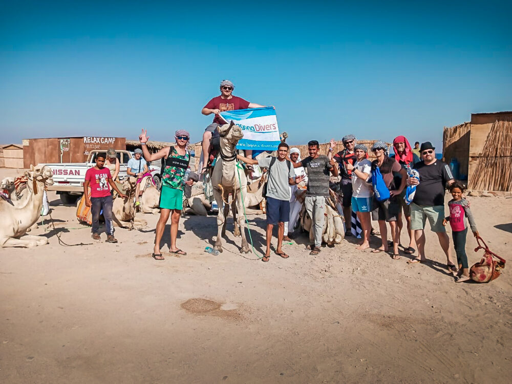 Tauchen in Dahab ist auch mit dem Kamel möglich!