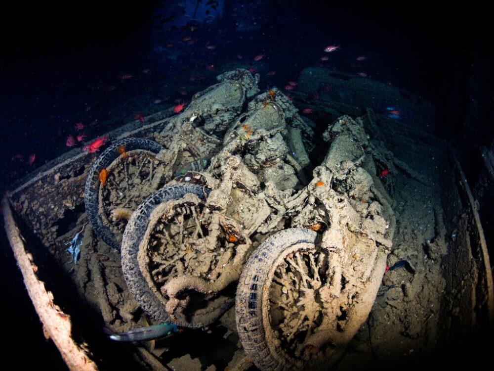 Historische Zeitzeugen am Wrack der SS Thistlegorm