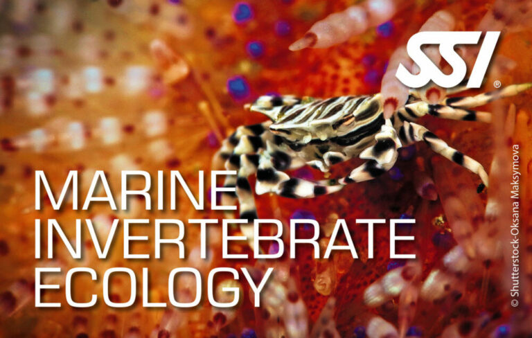 Marine Invertebrate Ecology