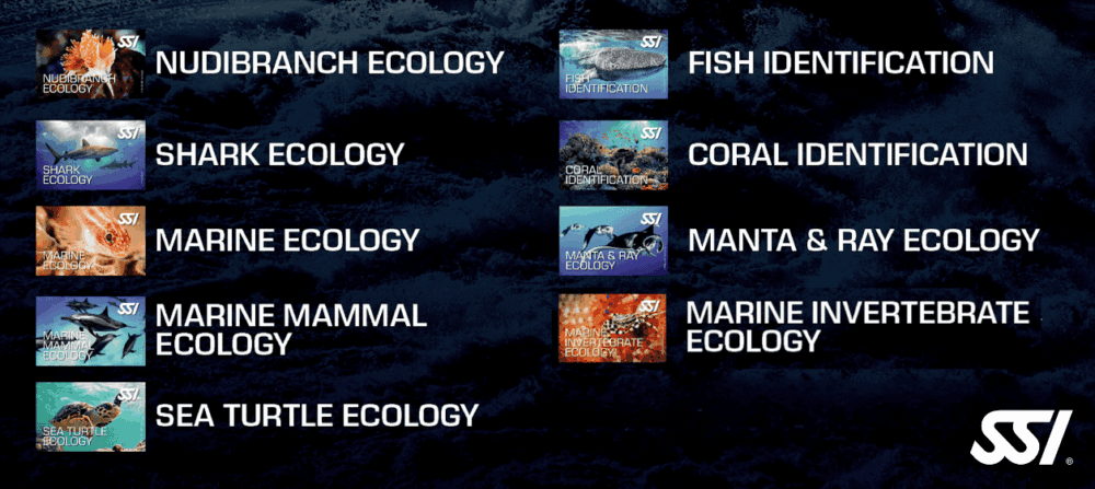 SSI Ecology Specialties