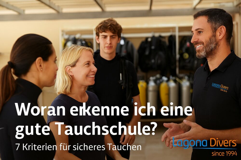 Professionelle Tauchlehrer der Lagona Divers Tauchschule vor einer gepflegten Urlaubsanlage am Roten Meer mit Palmen – Symbol für sichere Tauchausbildung und vertrauenswürdige Tauchbasis