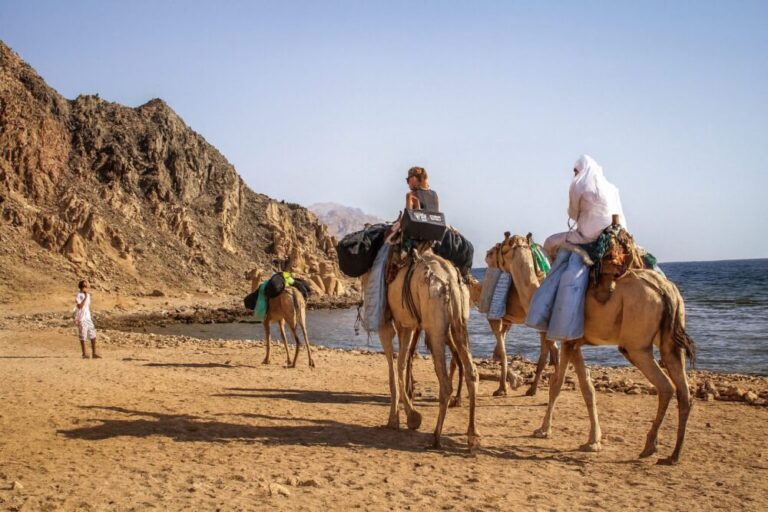 Camel Dive Trip Dahab – Kamelritt zu Gabr El Bint mit Lagona Divers